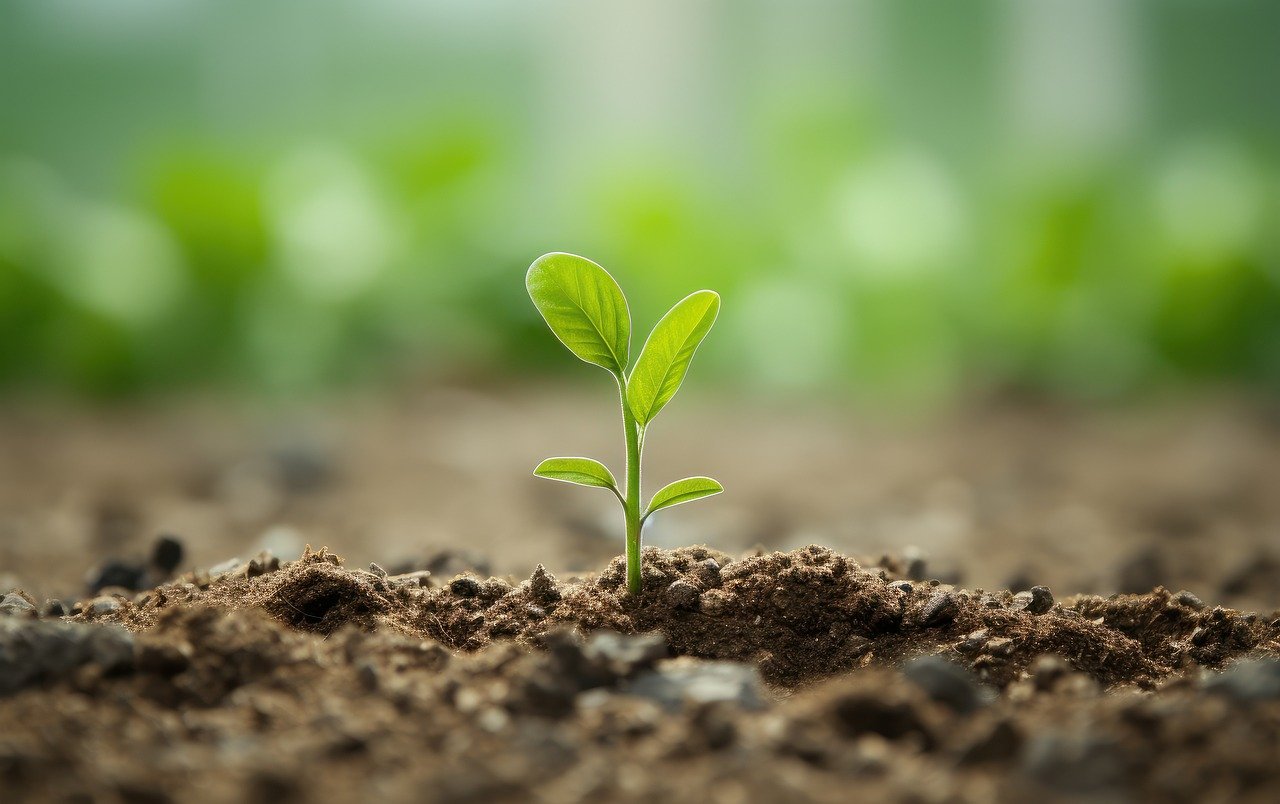 Motivation durch Belohnung